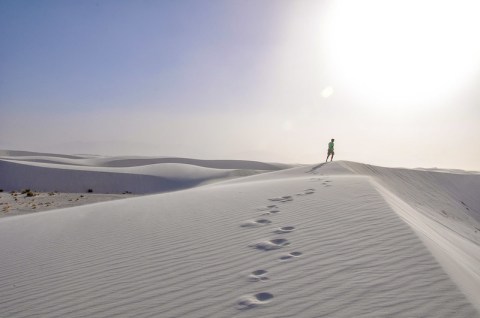 Most People Don't Know Ice Age Fossils Are Hiding At White Sands National Park In New Mexico