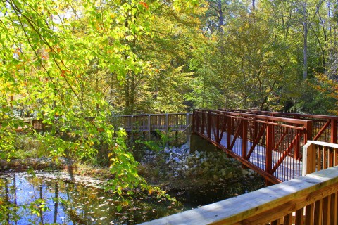 Pocahontas State Park In Virginia Is A Big Secluded Treasure