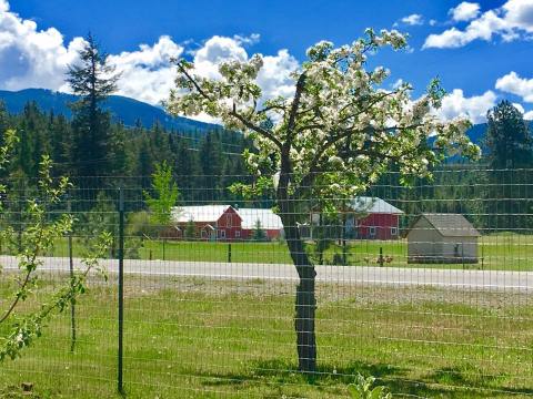 The Homemade Apple Cider Syrup From Athol Orchards In Idaho Is Worth A Road Trip