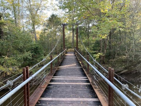 Take An Easy Loop Trail To Enter Another World At The River Trail In Louisiana