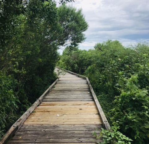 Escape To These Picture Perfect Nature Trails Near New Orleans For A Break From It All