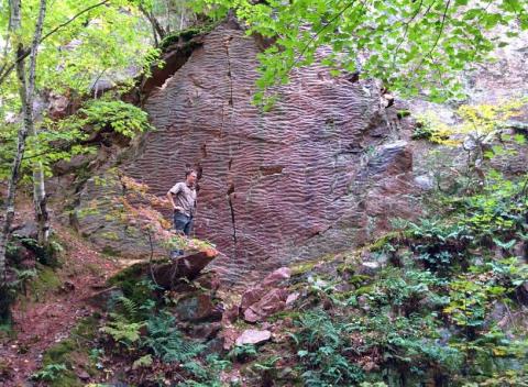 Walk Through 126 Acres Of Rock Formations At Wisconsin's Ableman’s Gorge State Natural Area