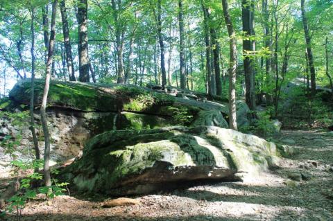 Beartown Rocks Is An Otherworldly Destination In Clear Creek State Park