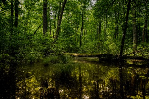 The Oldest Lake In New Jersey Is A Beautiful Piece Of Living History