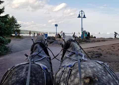 Take A Carriage Ride Through Canal Park For A Truly Unique Minnesota Experience