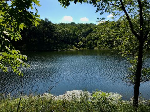 Take A Quiet And Serene Lake Trek On Lincoln Lakeside Trail In Missouri