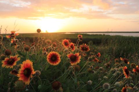 Try Out This Mini Louisiana Road Trip Where You Can View Spring From Your Car