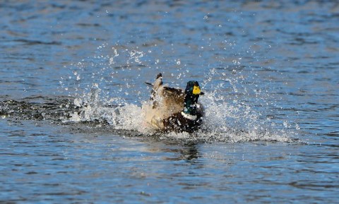 Pennsylvania Is Home To A Bottomless Lake And You’ll Want To See It For Yourself