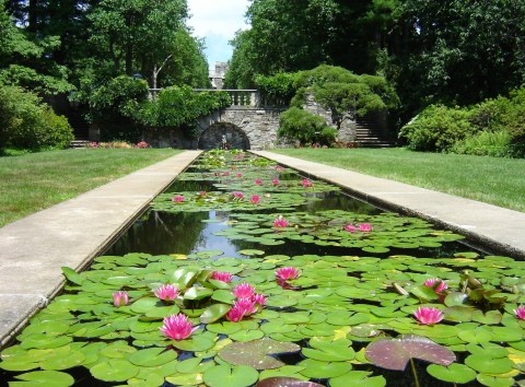 Explore 6 Of New Jersey's Most Beautiful Gardens On This Virtual Road Trip