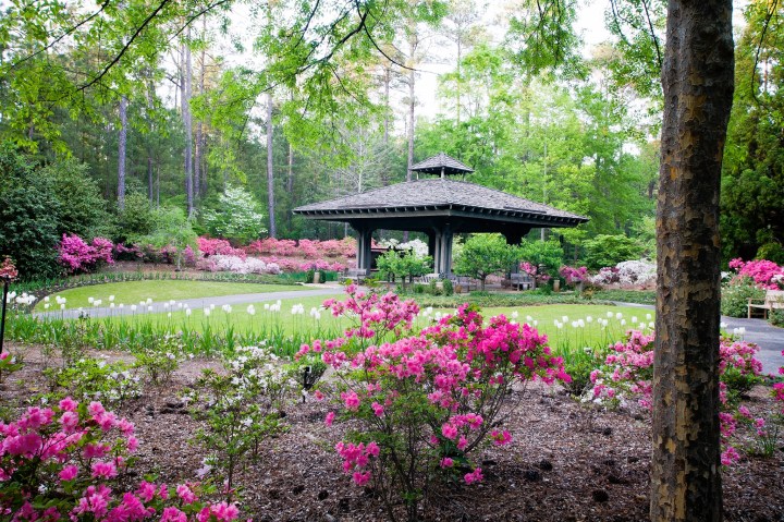 Springtime In Georgia