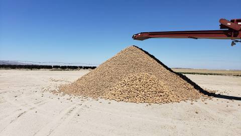 Cranney Farms In Idaho Is Giving Away 2 Million Potatoes So They Don't Go To Waste