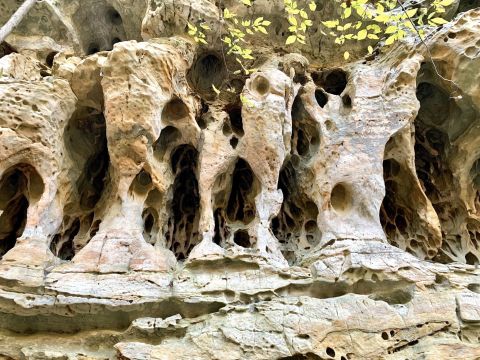 The Little Grand Canyon Trail Is The Highest-Rated Hiking Path In Illinois