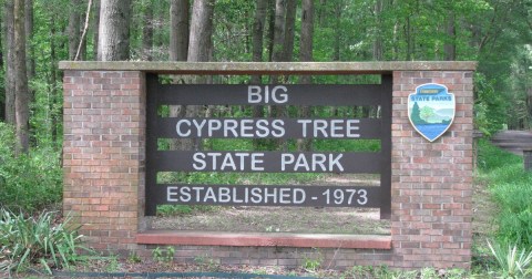 Big Cypress Tree State Park Is One Of The Most Secluded And Beautiful Hidden Gems In The State Of Tennessee