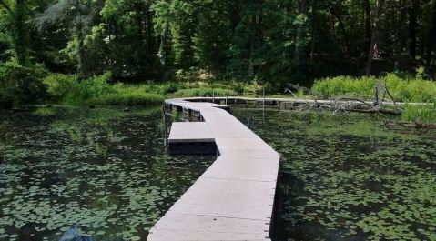 Hike Through Mesmerizing Wetlands At Wahkeena Nature Preserve In Ohio