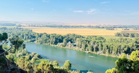 Follow The River On This Simple 1-Mile Hike Through The Woods In Idaho