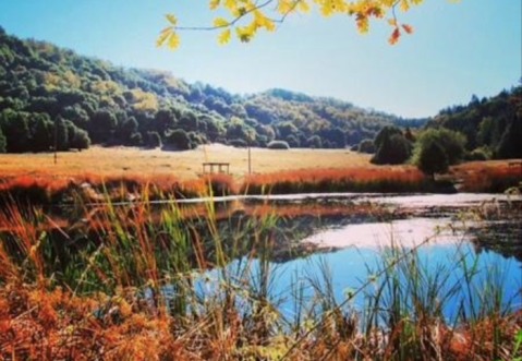 The One Park In Southern California With Fairytale Footbridges, Hiking Trails, Camping, And A Fishing Pond Truly Has It All