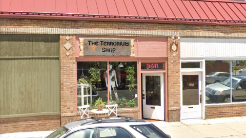 The Terrorium Shop In Colorado May Just Be The Quirkiest Plant Shop In America