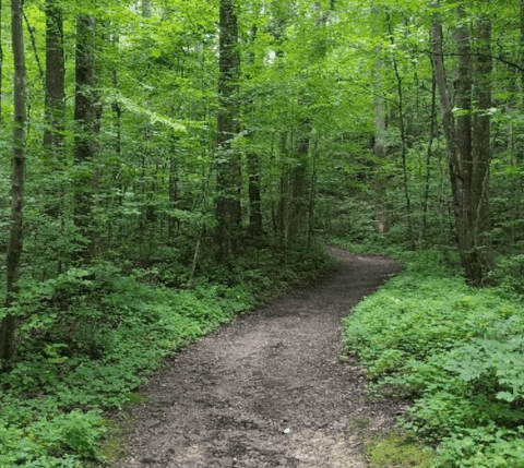 Tri-State Peak Is One Of The Best Hiking Summits for Viewing Multiple States In Virginia