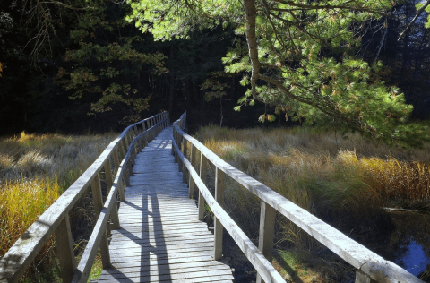 The 6.8 Mile Stroudwater Trail In Maine Is Incredibly Easy Trek You Can Make On A Free Afternoon