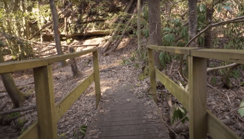 Take A Breathtaking Virtual Hike With A Park Ranger Through Breaks Interstate Park In Virginia