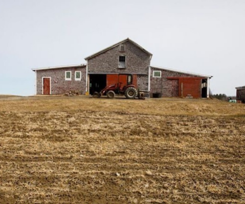 This Maine General Store Is Situated In The Middle Of A Beautiful Working Farm