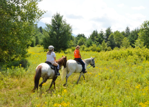 This Horseback Riding Experience In New Hampshire Offers Something New And Exciting To Try This Summer