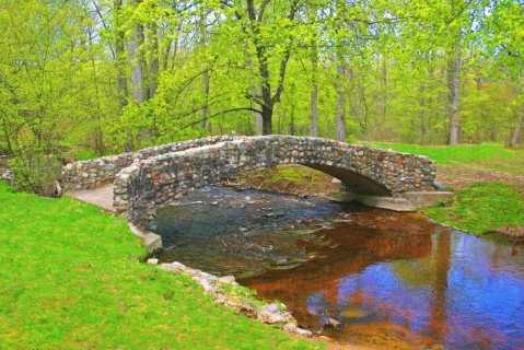 There's Forested Wonder And Whimsy Around Every Bend At Bertha Brock Park In Michigan