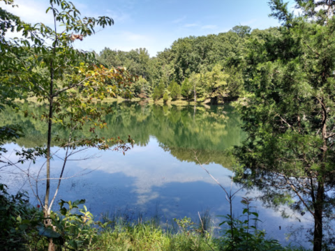 Take A Virtual Scenic Drive Of Beautiful Montgomery Bell State Park In Tennessee