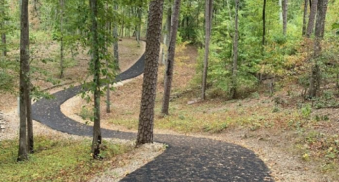 This Short Hike In South Carolina Leads To Volcanic Rocks, Fascinating Relics From Ancient Volcano Eruptions