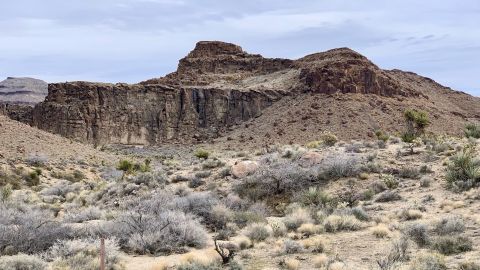 Barber Peak Loop Trail Will Show You A Completely New Side Of California