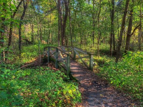 Minnesota's Sandstone Bluffs Trail Will Lead You On A Beautiful Trip Through The Woods