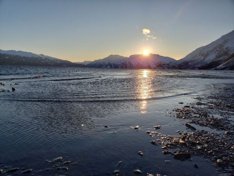 Spring Is In The Air On The Waterfront Homestead Trail In Alaska