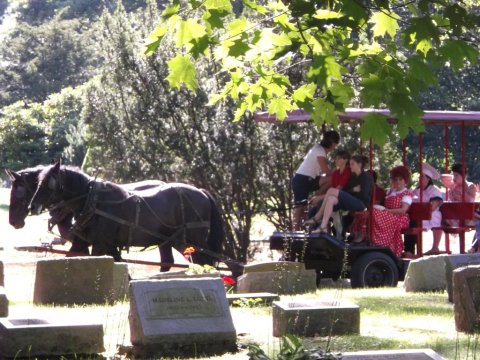 Few People Know Lucille Ball Is Buried In Lake View Cemetery In New York