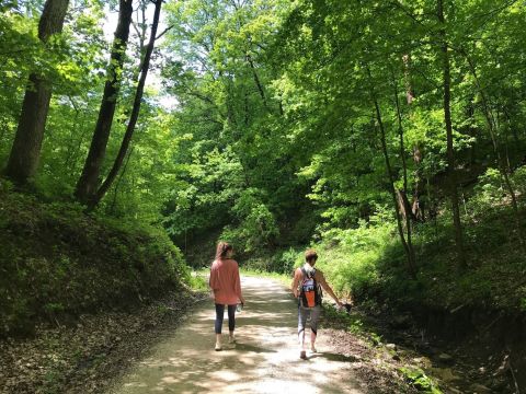 Yellow River State Forest In Iowa Is A Big Secluded Treasure