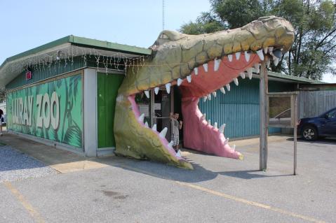 Interact With Tigers, Cobras, Monkeys, And More At The Luray Rescue Zoo In Virginia