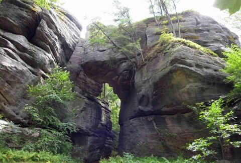 The Formations In Rock City Park Near Buffalo Look Like Something From Another Planet