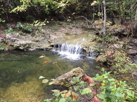 Ranked One Of The Best Kid-Friendly Hikes In Missouri, Have Fun Exploring This Waterfall Trail In Branson