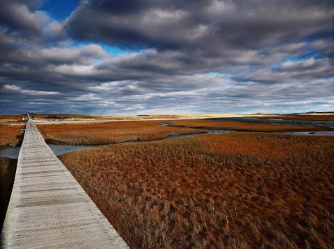 Take An Otherworldly Boardwalk Stroll Over Mill Creek In Massachusetts