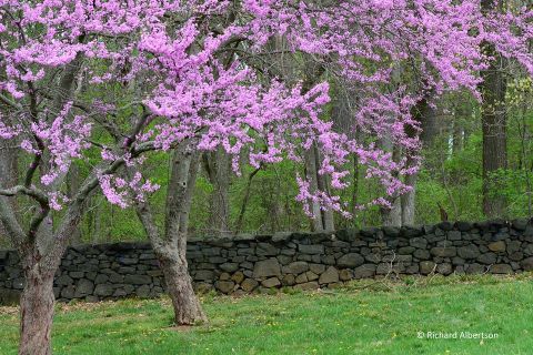 Hiking At Brandywine Creek State Park In Delaware Is Like Entering A Fairytale