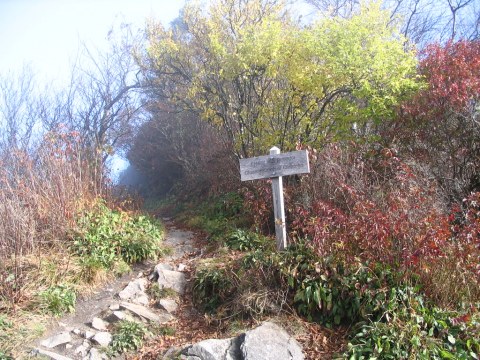 These Hiking Spots In The Great Smoky Mountains Were The First To Be Opened To The Public