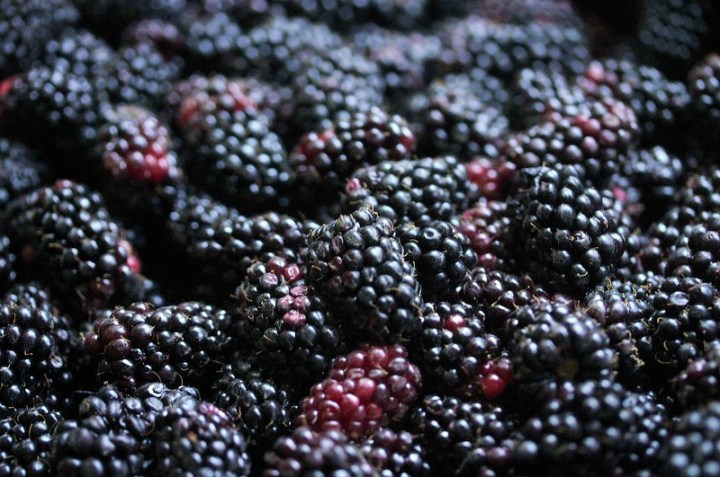 marionberry history