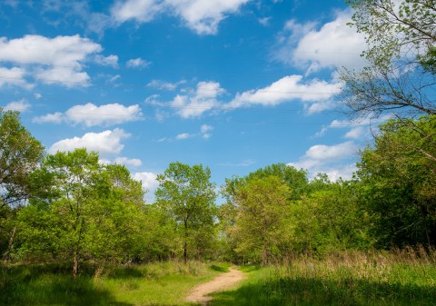 Hike The Pike Island Loop In St. Paul, Minnesota, To Get Out In Nature Without Leaving The City