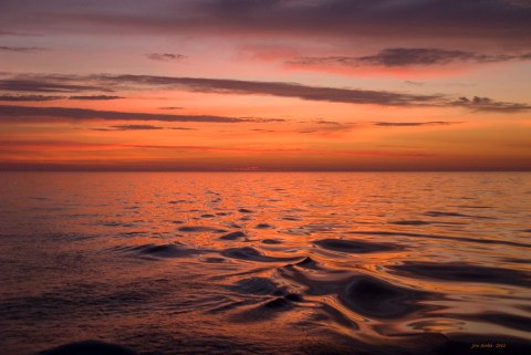 The Sunrises At Lake Michigan In Illinois Are Worth Waking Up Early For