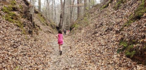 This 10-Foot-Deep Gully In Mississippi Was Created Thousands Of Years Ago, And You Can Hike It