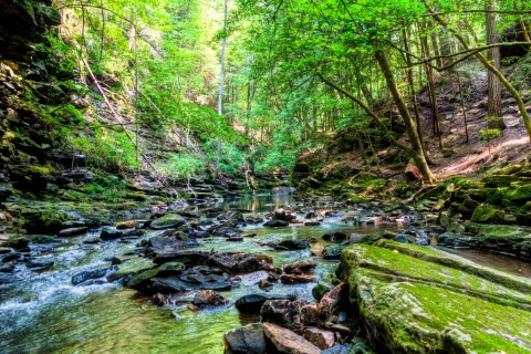 Hiking At South Cumberland State Park In Tennessee Is Like Entering A Fairytale