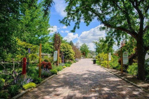 Take A Summer Stroll Through The Stunning Idaho Botanical Garden