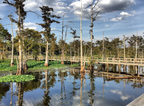 Explore Over 4,000 Acres Of Natural Beauty At Black Bayou National Wildlife Refuge In Louisiana