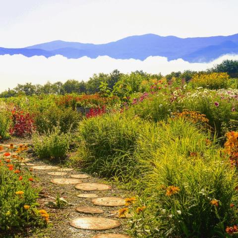 Hiking At The Trapp Family Lodge In Vermont Is Like Entering A Fairytale