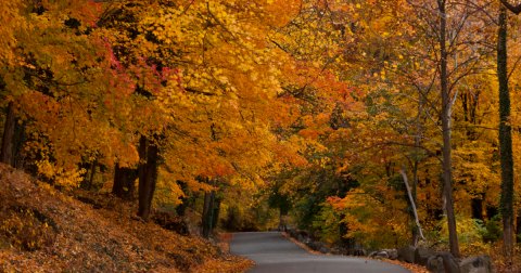 Take These 12 Country Roads In New Jersey For A Lovely Scenic Drive