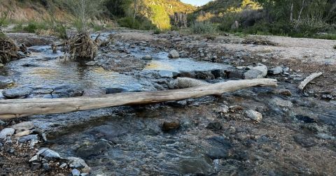 A Creekside Trail In Tonto National Forest Will Lead You To A Waterfall Paradise In Arizona